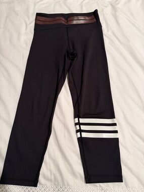 Lilybod Black Leggings with White Lower- Leg Stripe and Brown Waistband
